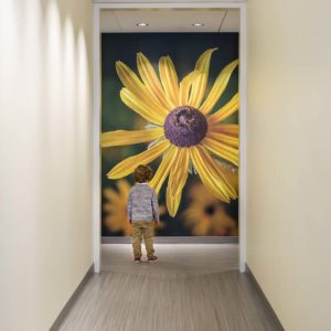 Hallway in children's pain clinic with large photo mural of flower on wall; Minneapolis Children's Hospital